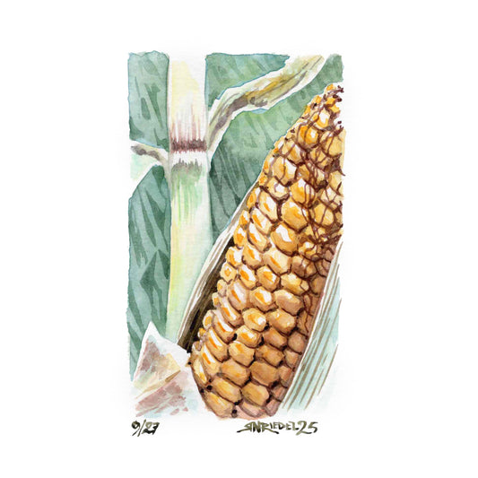 "Pennsylvania Corn” - 8x10 Watercolor Print | Appalachian Trail Inspired Art