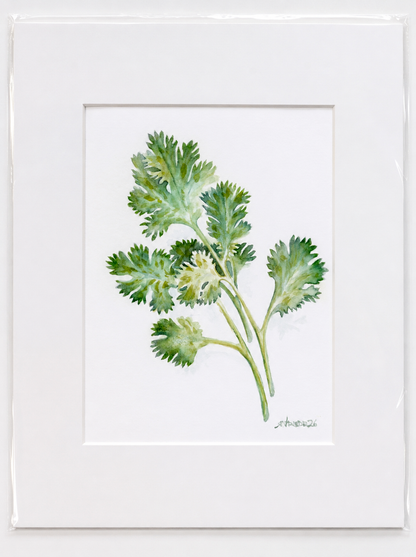 "Fresh Herb" | 8x10 Watercolor Print, Kitchen Art,