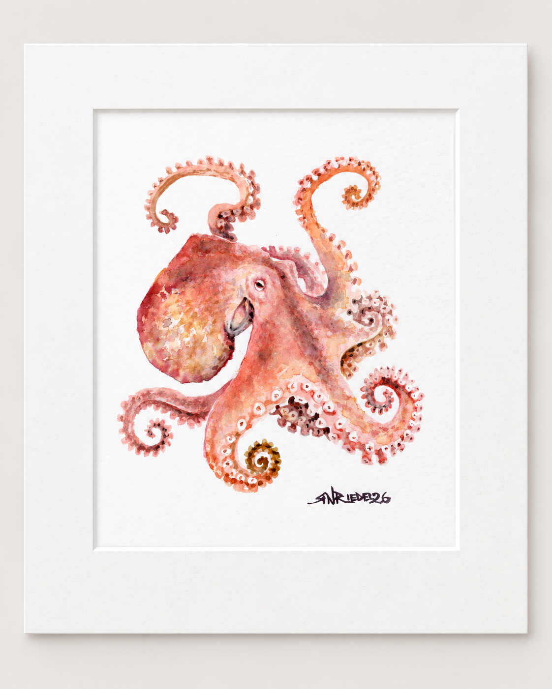 "Tangled Up" | 8x10 Watercolor Print, Octopus | Ocean Friends Collection