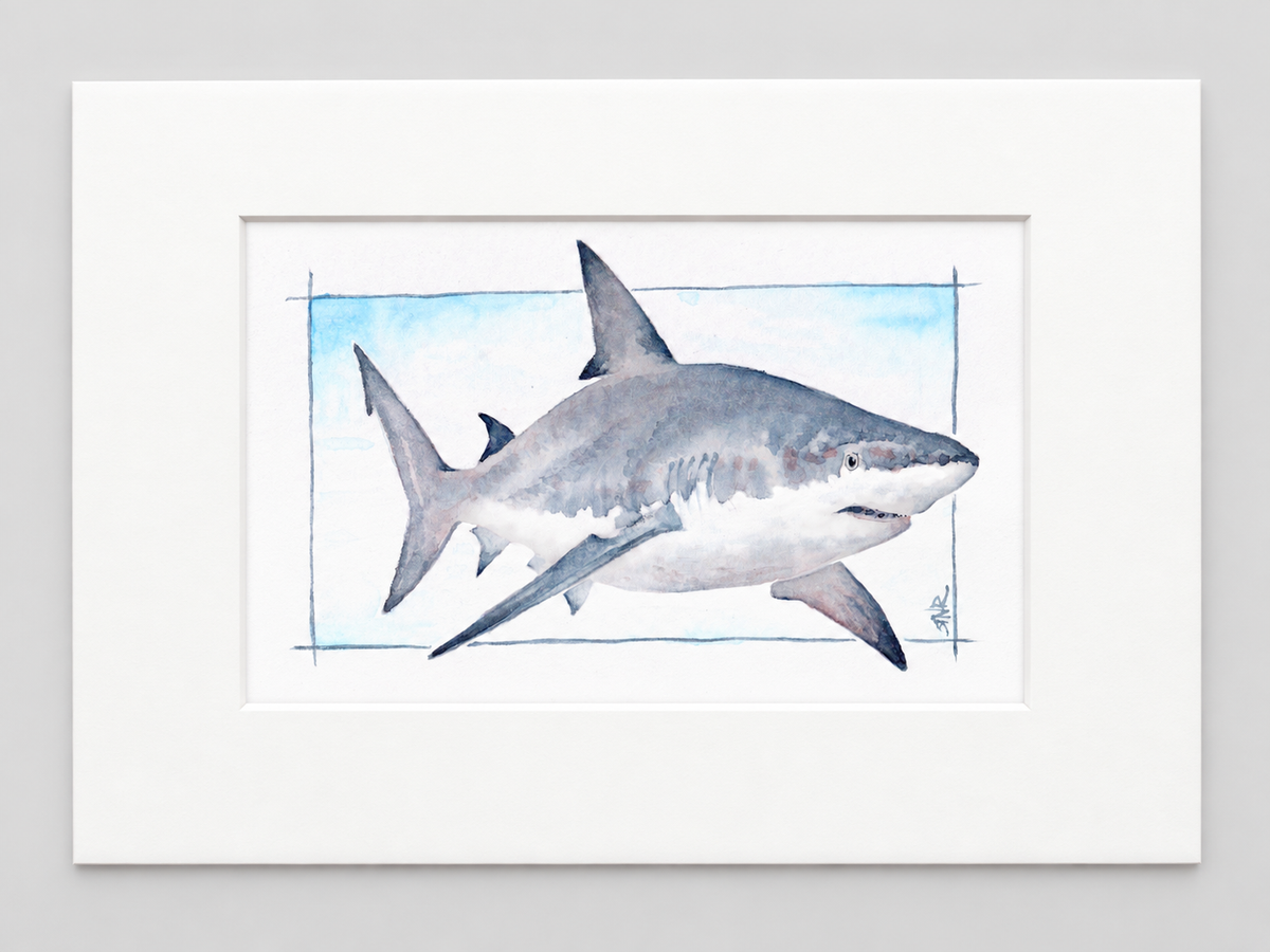 "Into the Blue" | 8x10 Watercolor Print, Great White Shark | Ocean Friends Collection