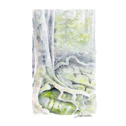 "Trail Roots” - 8x10 Watercolor Print | Appalachian Trail Inspired Art