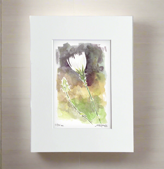 ““Desert Bloom” - 8x10 Watercolor Print |   Pacific Crest Trail Wildflower Print”