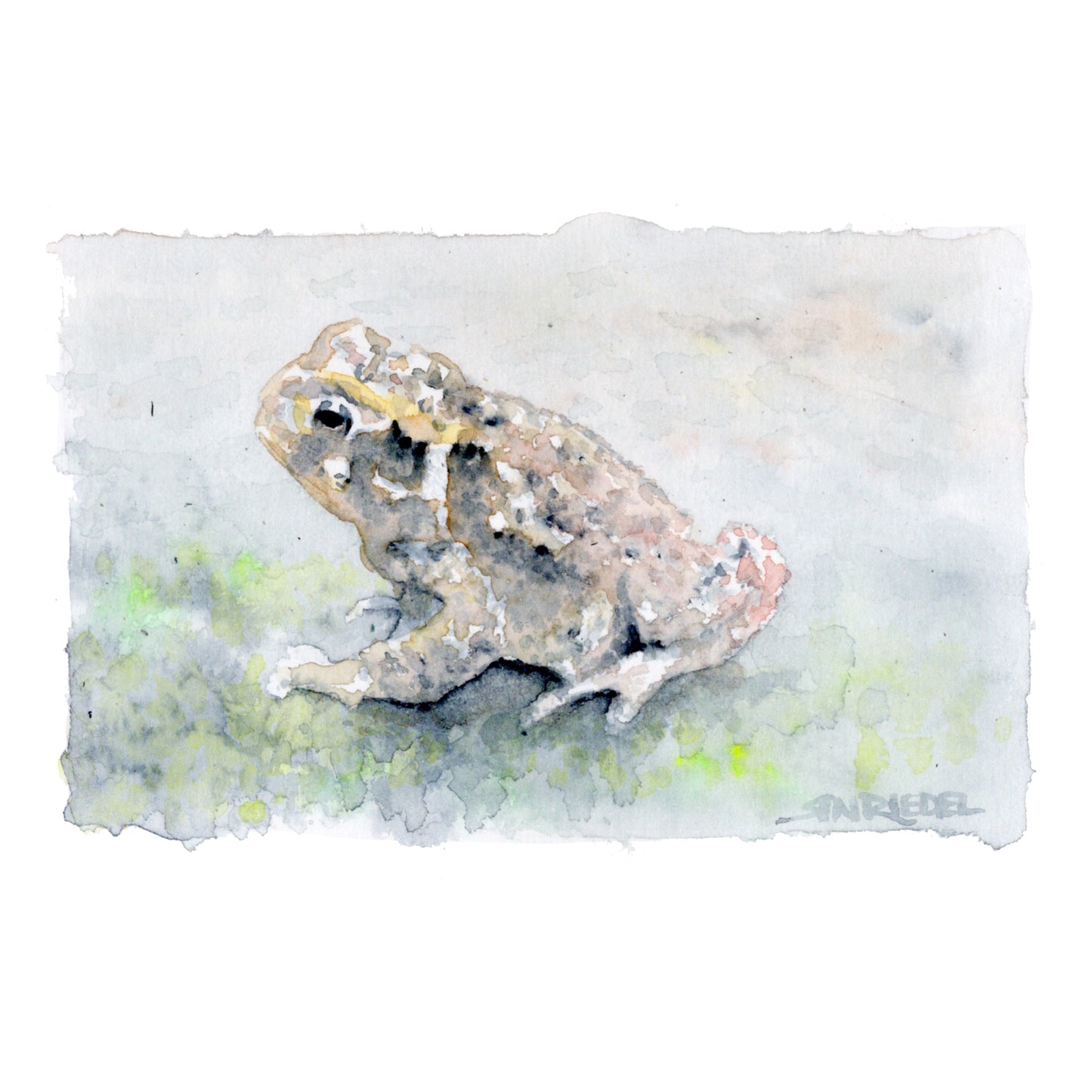 "Mossy Visitor” - 8x10 Watercolor Print | Appalachian Trail Inspired Art