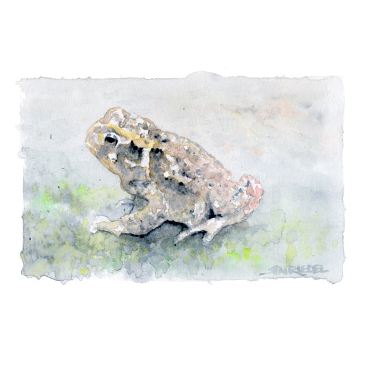"Mossy Visitor” - 8x10 Watercolor Print | Appalachian Trail Inspired Art