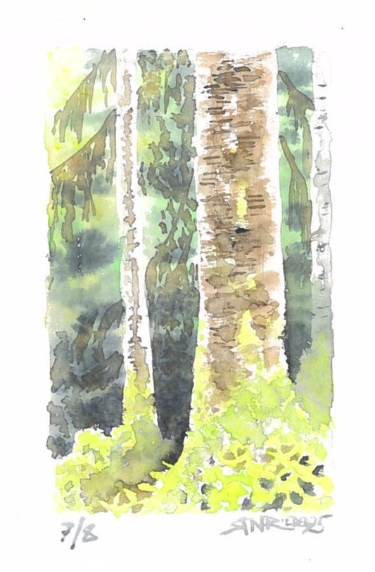 “Into the Wilderness” - 8x10 Watercolor Print | Appalachian Trail Inspired Art