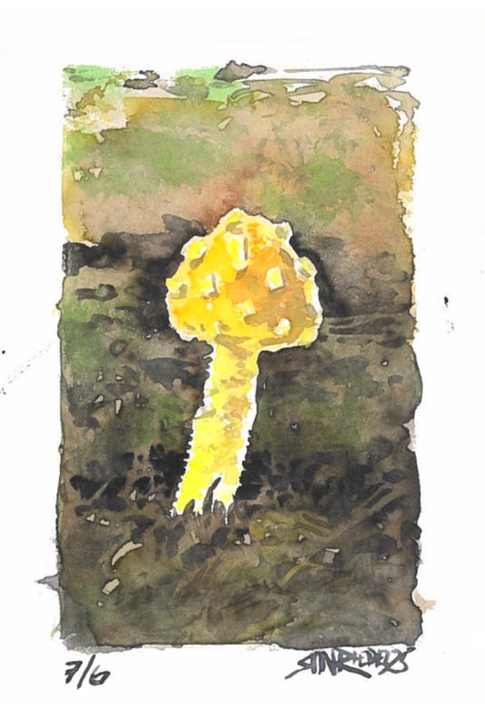 “Golden Mushroom” - 8x10 Watercolor Print | Appalachian Trail Inspired Art