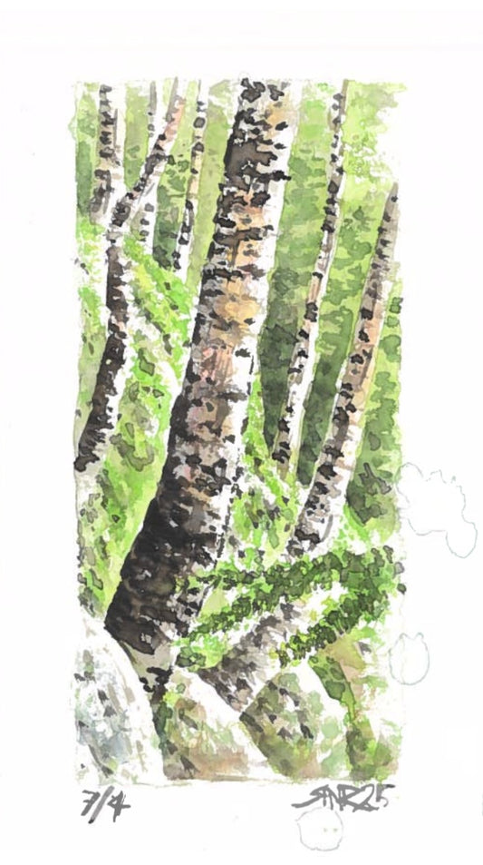 “Beneath the Boughs” - 8x10 Watercolor Print | Appalachian Trail Inspired Art