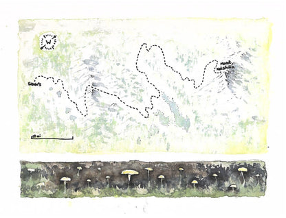 "100 Miles of Solitude" - 11x14 Watercolor Print  | Appalachian Trail Inspired Artwork