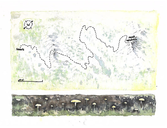 "100 Miles of Solitude" - 11x14 Watercolor Print  | Appalachian Trail Inspired Artwork