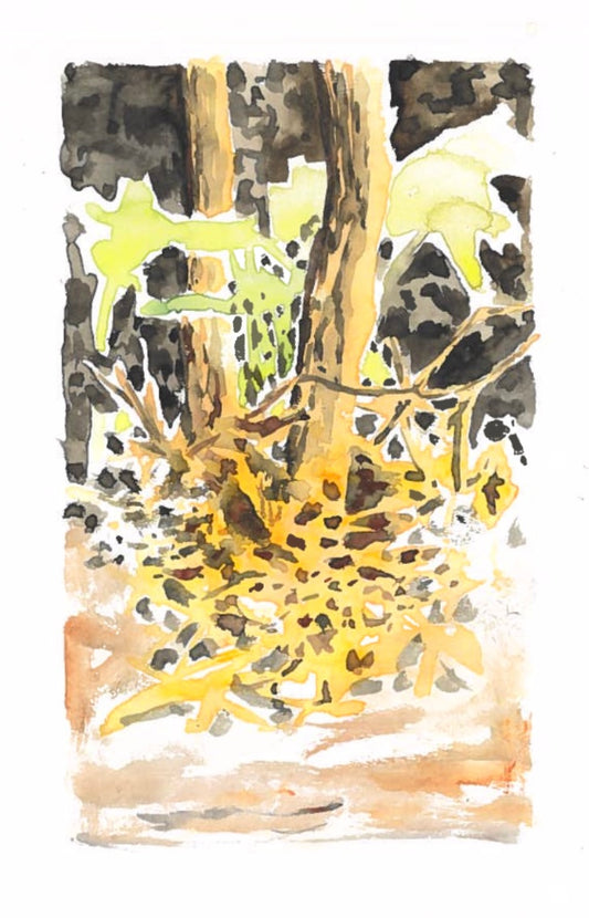 “Fragmented Light” - 8x10 Watercolor Print | Appalachian Trail Inspired Art