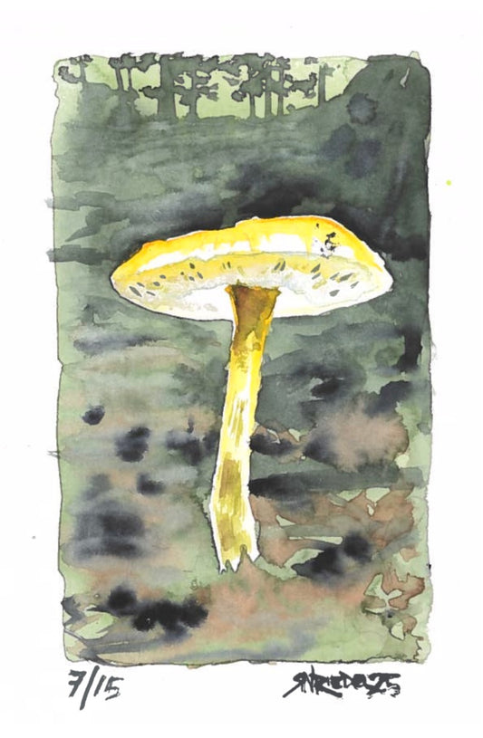 “Bloom Under Pressure” - 8x10 Watercolor Print | Appalachian Trail Inspired Art