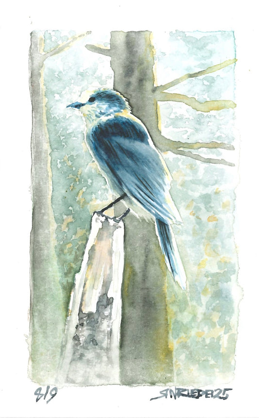 “Trail Companion” - 8x10 Watercolor Print | Appalachian Trail Inspired Art