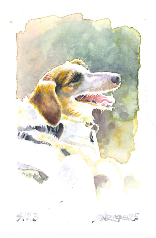 “Trail Magic Pup” - 8x10 Watercolor Print | Appalachian Trail Inspired Art