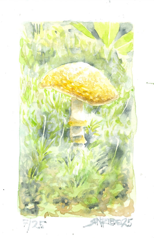 “Sunlit Spore” - 8x10 Watercolor Print | Appalachian Trail Inspired Art