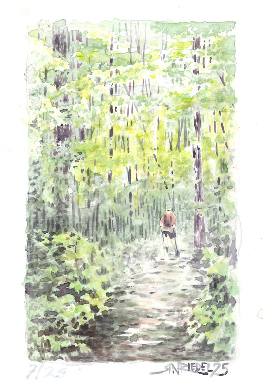 "Forest Stroll” - 8x10 Watercolor Print | Appalachian Trail Inspired Art