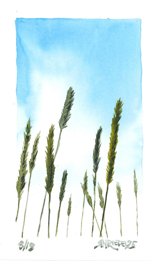 "Summer Sky” - 8x10 Watercolor Print | Appalachian Trail Inspired Art