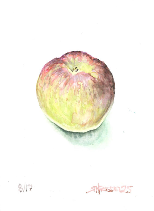 "Stash's Apple” - 8x10 Watercolor Print | Appalachian Trail Inspired Art
