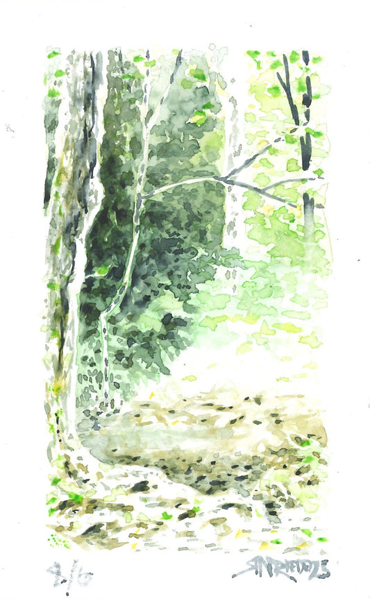 "Trees of the Trail” - 8x10 Watercolor Print | Appalachian Trail Inspired Art