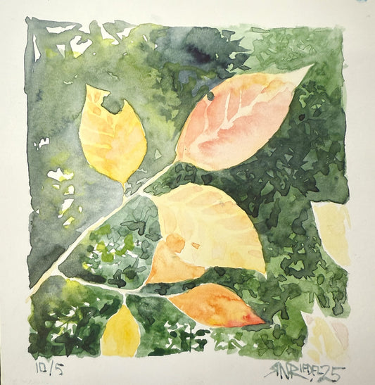 "Leaves of Sunshine" - 12x12 Watercolor Print  | Appalachian Trail Inspired Artwork