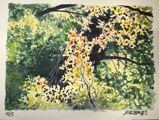 "Look Up" - 11x14 Watercolor Print  | Appalachian Trail Inspired Artwork