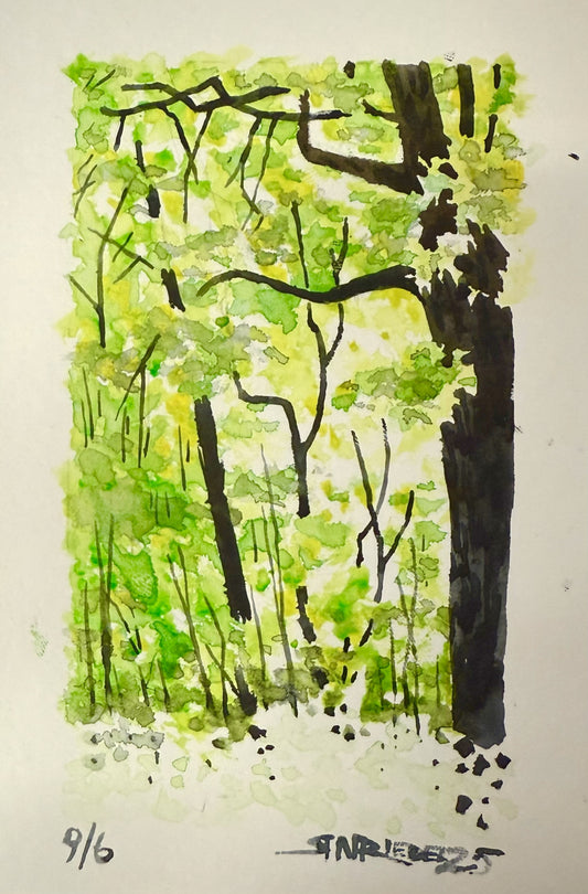 "A Walk in the Green” - 8x10 Watercolor Print | Appalachian Trail Inspired Art