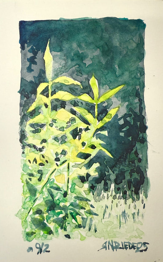 "Growing in the Night” - 8x10 Watercolor Print | Appalachian Trail Inspired Art