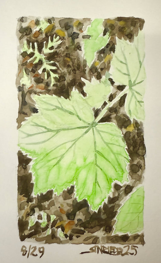 "Green Star” - 8x10 Watercolor Print | Appalachian Trail Inspired Art