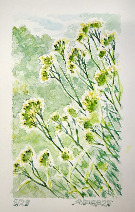 "Goldenrods, MA” - 8x10 Watercolor Print | Appalachian Trail Inspired Art