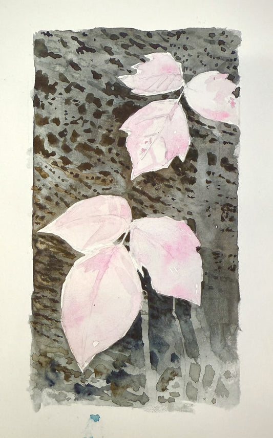 "Poison Ivy” - 8x10 Watercolor Print | Appalachian Trail Inspired Art