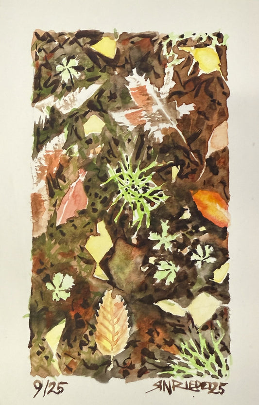 "Fall Floor” - 8x10 Watercolor Print | Appalachian Trail Inspired Art