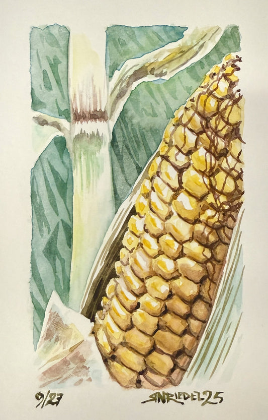 "Corncob” - 8x10 Watercolor Print | Appalachian Trail Inspired Art