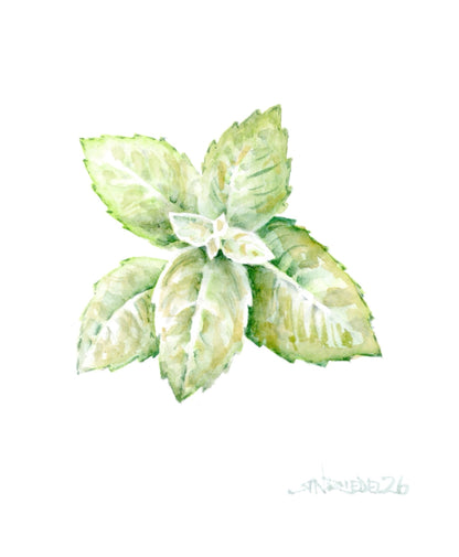 "Bruschetta Love"– Watercolor Kitchen Collection |  Four, 8x10 Prints | Kitchen Food Art