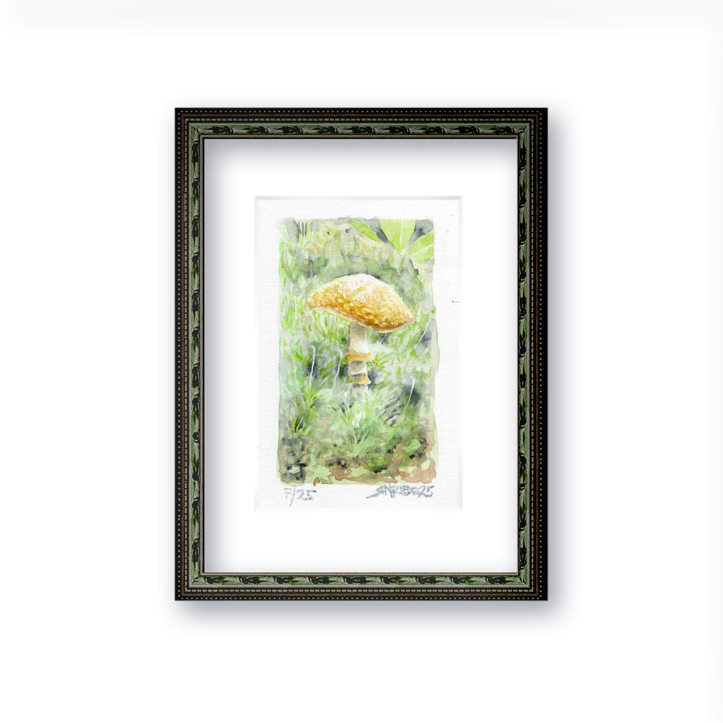 "Sunlit Spore" - Artist's Original Watercolor  | Appalachian Trail Thru Hikers Art