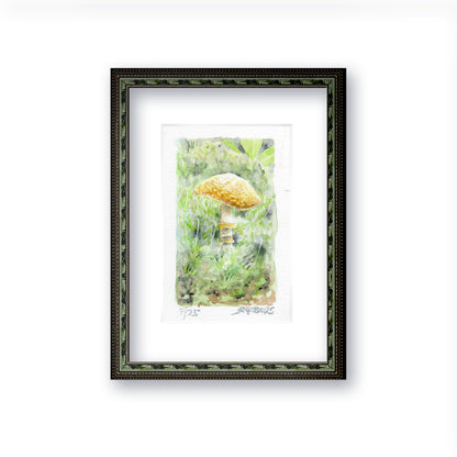 "Sunlit Spore" - Artist's Original Watercolor  | Appalachian Trail Thru Hikers Art