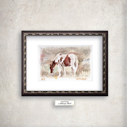 "Highlands Pony" - Artist's Original Watercolor  | Appalachian Trail Thru Hikers Art