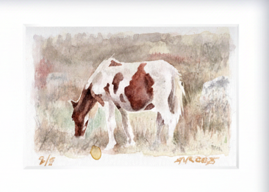 "Highlands Pony" - Artist's Original Watercolor  | Appalachian Trail Thru Hikers Art