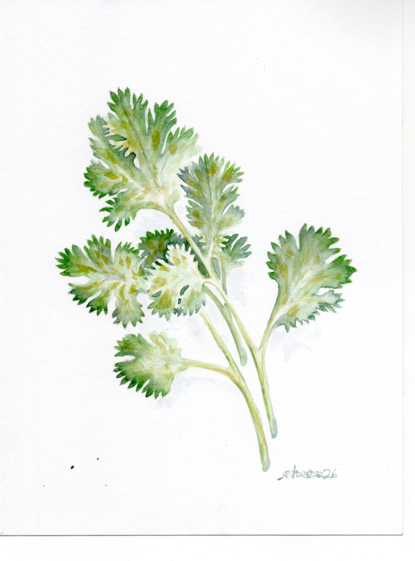 "Fresh Herb" | 8x10 Watercolor Print, Kitchen Art,