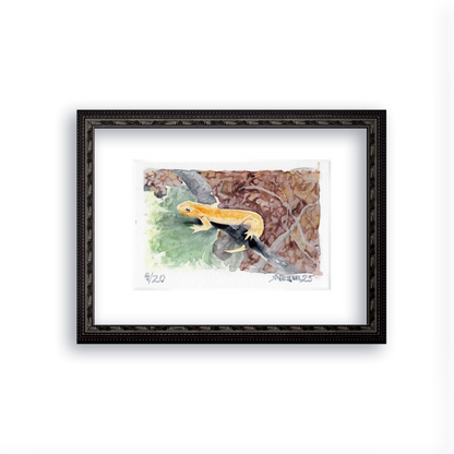 "Trail Newt" - Artist's Original Watercolor  | Appalachian Trail Thru Hikers Art