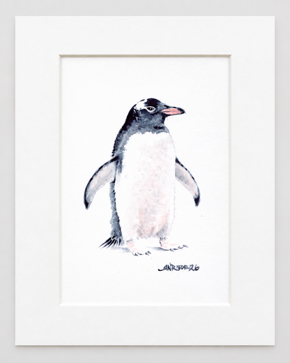 Ocean Friends Collection | Four- 8x10 Watercolor Prints:  Shark, Octopus, Penguin, Otter
