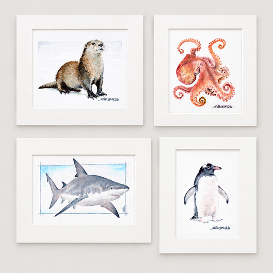 Ocean Friends Collection | Four- 8x10 Watercolor Prints:  Shark, Octopus, Penguin, Otter