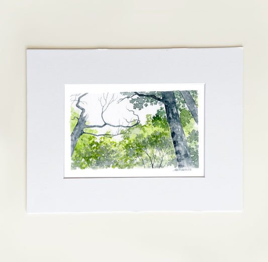 "Canopy Window” - 8x10 Watercolor Print | Appalachian Trail Inspired Art