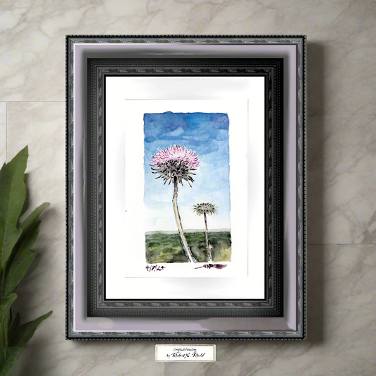 "Trailside Thistle" - Artist's Original  | Original Watercolor Inspired by the Pacific Crest Trail