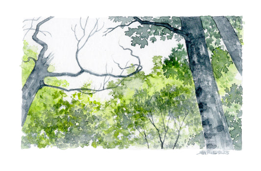 "Canopy Window” - 8x10 Watercolor Print | Appalachian Trail Inspired Art
