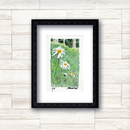 "Trail Daisies" - Artist's Original Watercolor  | Appalachian Trail Thru Hikers Art