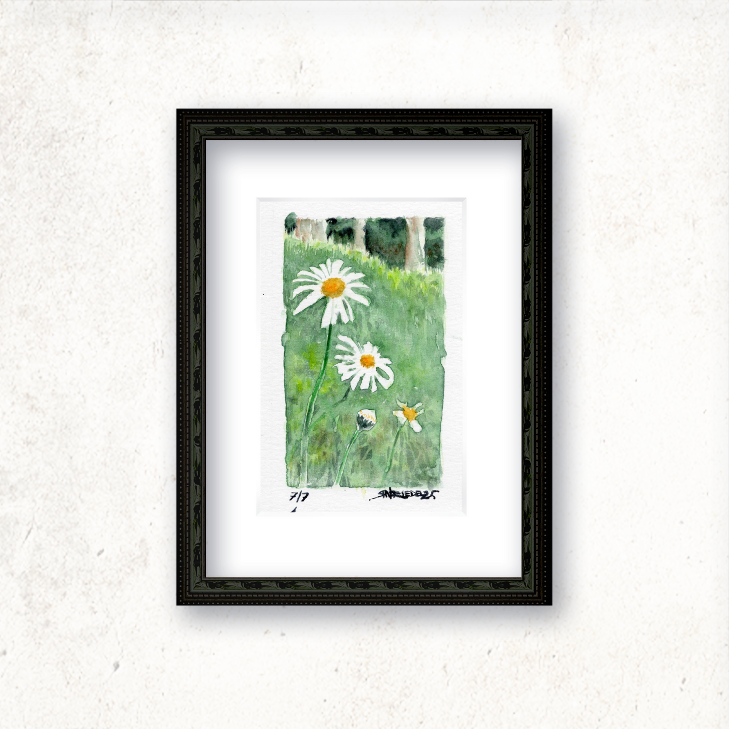 "Trail Daisies" - Artist's Original Watercolor  | Appalachian Trail Thru Hikers Art