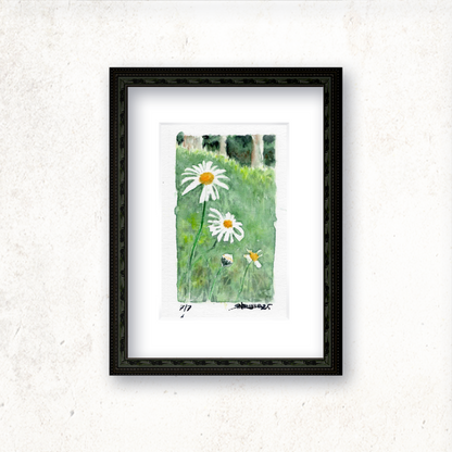 "Trail Daisies" - Artist's Original Watercolor  | Appalachian Trail Thru Hikers Art