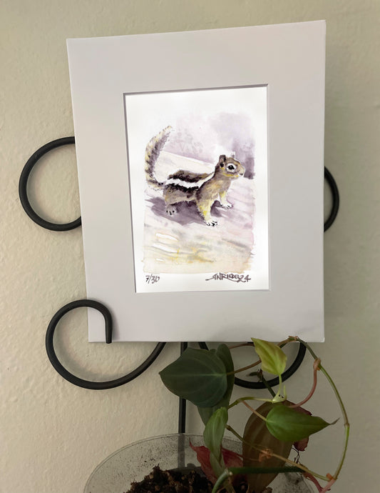 "Little Buster" - 8x10 Watercolor Print |Chipmunk Watercolor Print from the Pacific Crest Trail