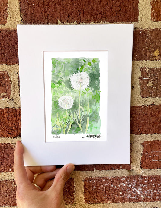 "Make a Wish" - 8x10 Watercolor Print | Pacific Crest Trail Inspired Art | PCT Wildflower Watercolor