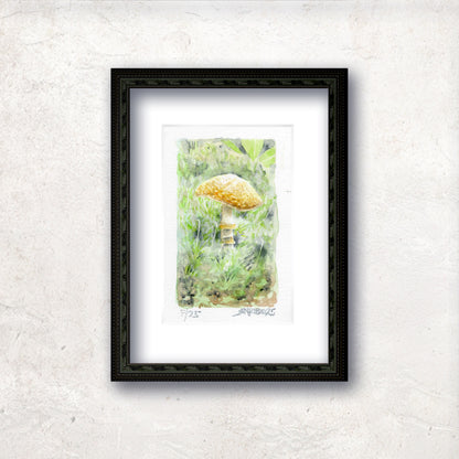 "Sunlit Spore" - Artist's Original Watercolor  | Appalachian Trail Thru Hikers Art