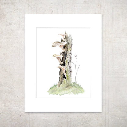 “Mushroom Stump” (Watercolor Study) - 11x14 Watercolor Print  | Appalachian Trail Inspired Artwork